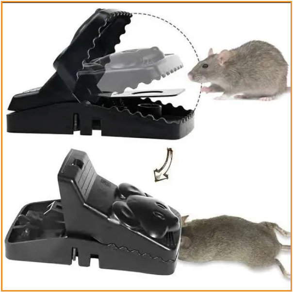 1P RAT TRAP FOR OFFICE AND HOUSE ইঁদুর মারার ১০০ পার্সেন্ট কার্যকরী যন্ত্র