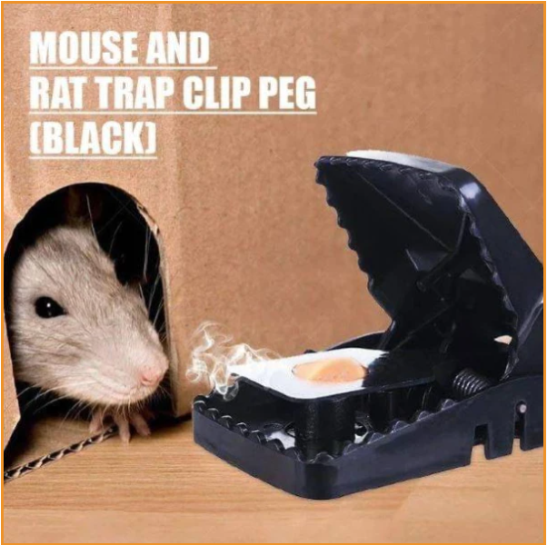 3P RAT TRAP FOR OFFICE AND HOUSE ইঁদুর মারার ১০০ পার্সেন্ট কার্যকরী যন্ত্র